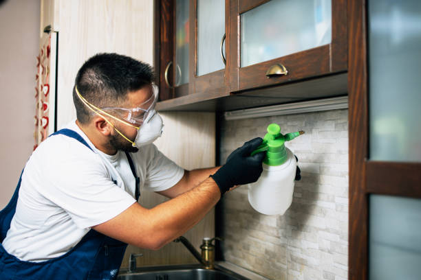 Best Pest Removal Services  in Temple, TX