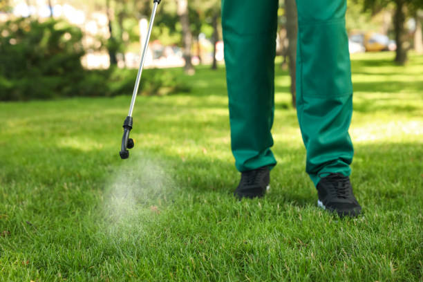Best Pest Prevention Services  in Temple, TX